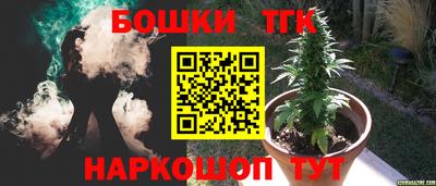 дурь Бердск